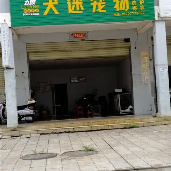 犬迷宠物:钦州市钦南区钦州港附近