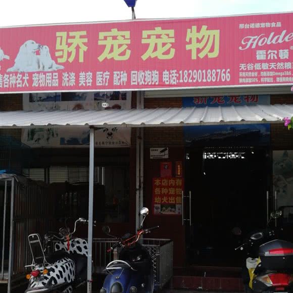骄宠宠物:钦州市钦南区英华学院/北部湾职校附近