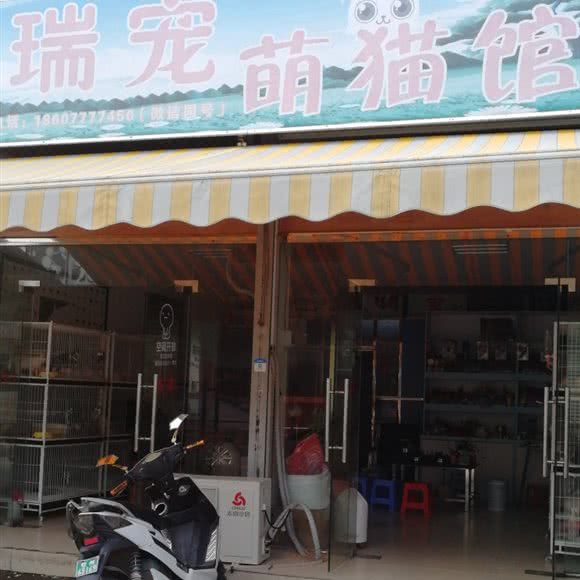 瑞宠萌猫馆:钦州市钦南区英华学院/北部湾职校附近