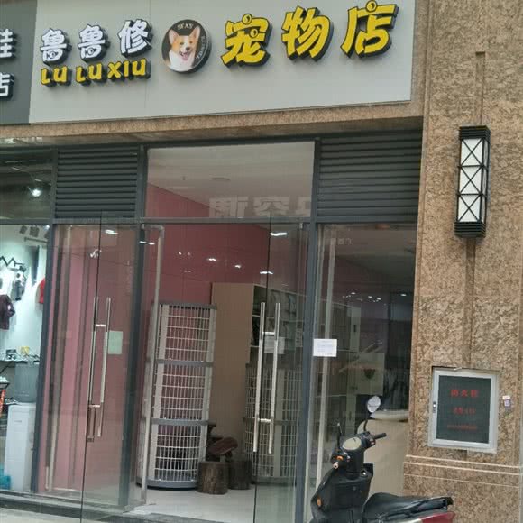 鲁鲁修宠物店:钦州市钦南区扬帆大道/汽车南站附近