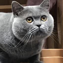 居尚猫坊(生活港分店):贵港市港北区国际生活港附近