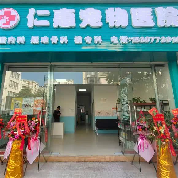 仁惠宠物医院:贵港市港北区财政局附近