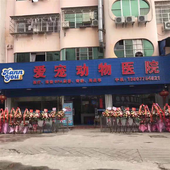爱宠动物医院:玉林市玉州区市中心附近