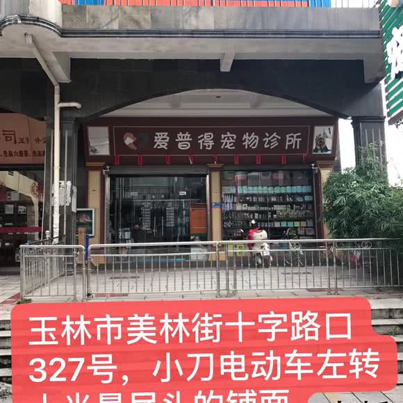 爱普得宠物医院:玉林市玉州区美林街附近