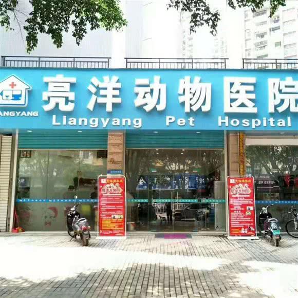 亮洋动物医院:玉林市玉州区大润发附近