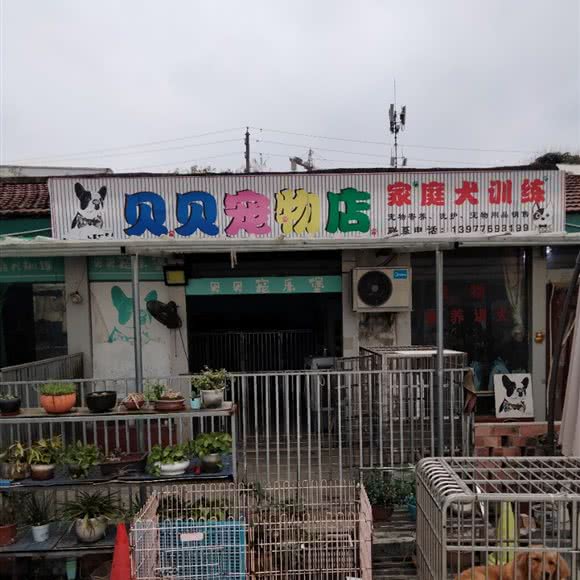 贝贝宠物店:百色市右江区拉域附近