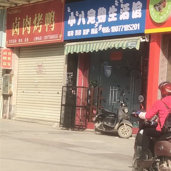 小八宠物生活馆:百色市右江区沙滩公园附近