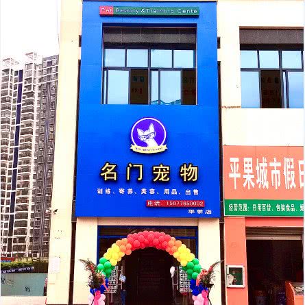 名门宠物美容训练中心:百色市平果市平果市附近
