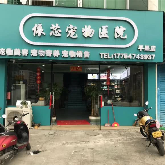 依芯宠物医院(平果分店):百色市平果市平果市附近