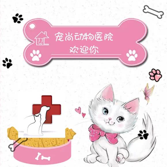 宠尚动物医院:贺州市八步区贺州市政府附近