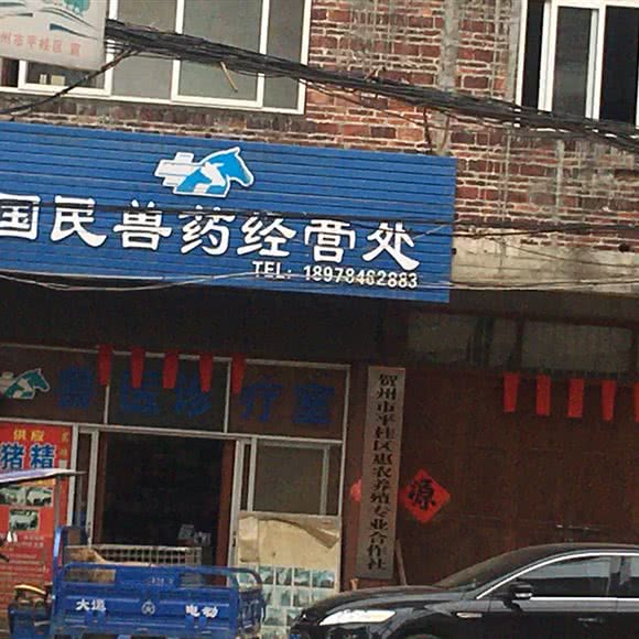 国民兽医诊疗室:贺州市平桂区贺州站附近