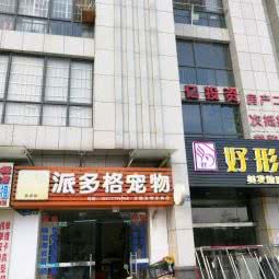 派多宠物:来宾市兴宾区裕达城市广场附近