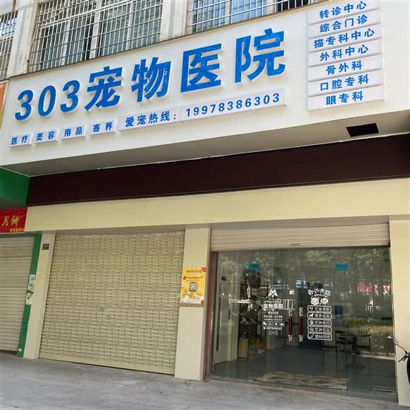 303宠物医院:来宾市兴宾区裕达城市广场附近