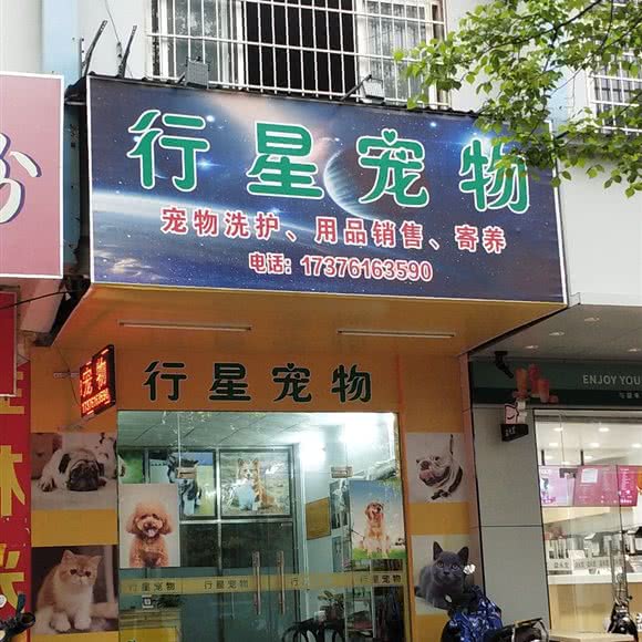 行星宠物:来宾市兴宾区市政片区附近