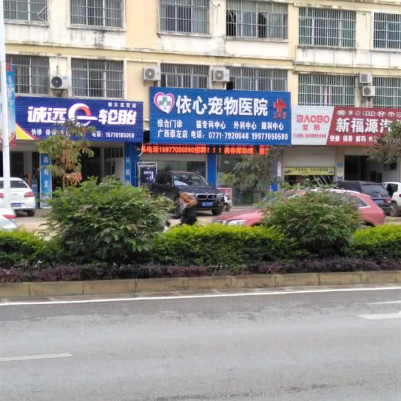 依心宠物医院(广西崇左店):崇左市江州区雅图影视广场附近