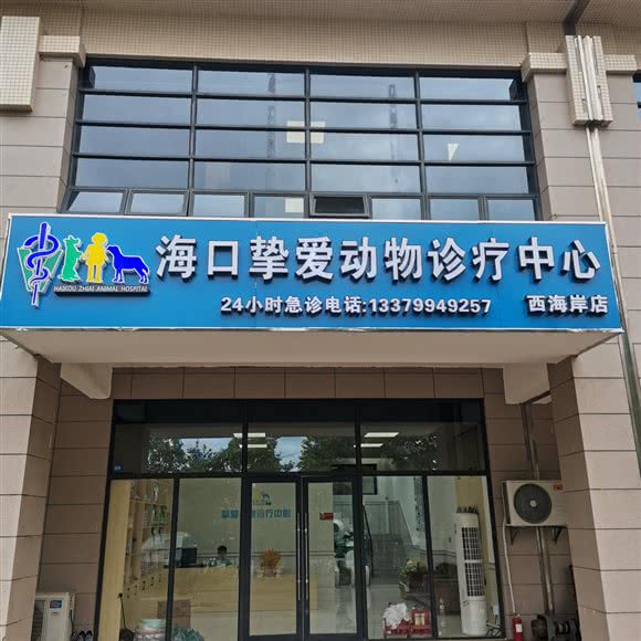 海口挚爱动物诊疗中心:海口市秀英区假日海滩/西海岸附近