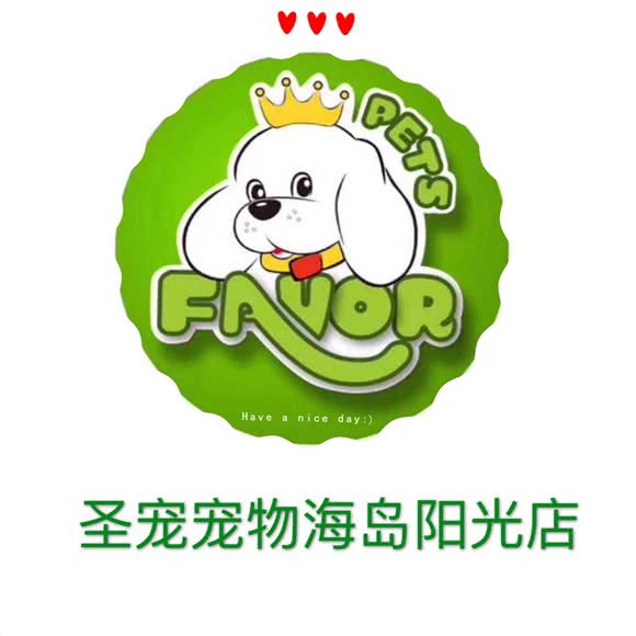 圣宠宠物(海岛阳光店):海口市秀英区滨海大道东段附近