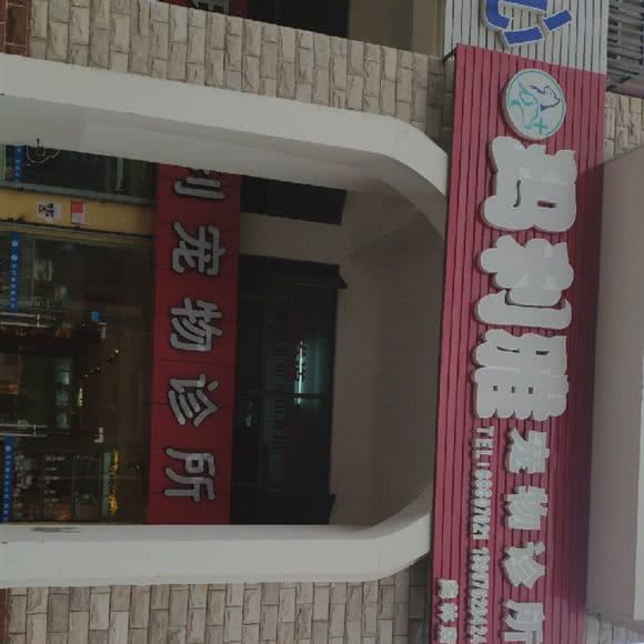 玛利雅宠物诊所(美林店):海口市秀英区滨海大道东段附近