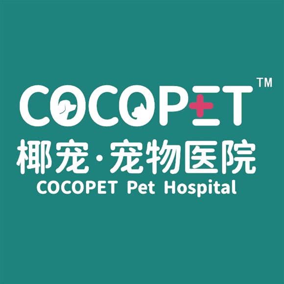 椰宠宠物医院·骨科·内科·急重症全科中心:海口市秀英区滨海大道东段附近