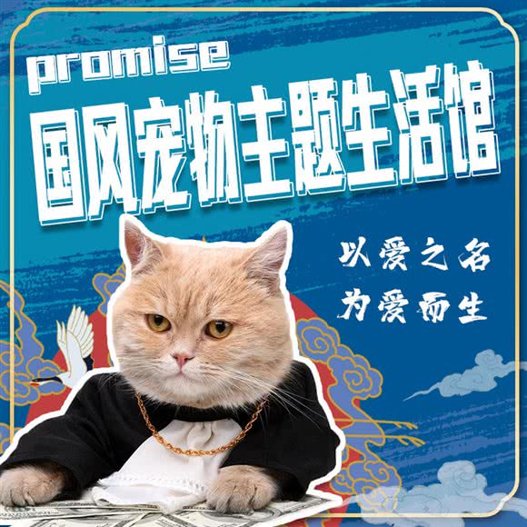 Promise 国风宠物空间(上邦百汇城店):海口市龙华区上邦百汇城附近