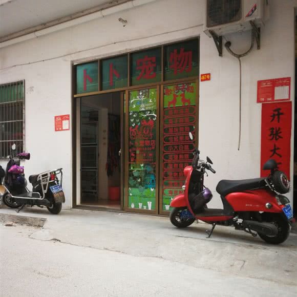 卜卜宠物:海口市龙华区吾悦广场附近