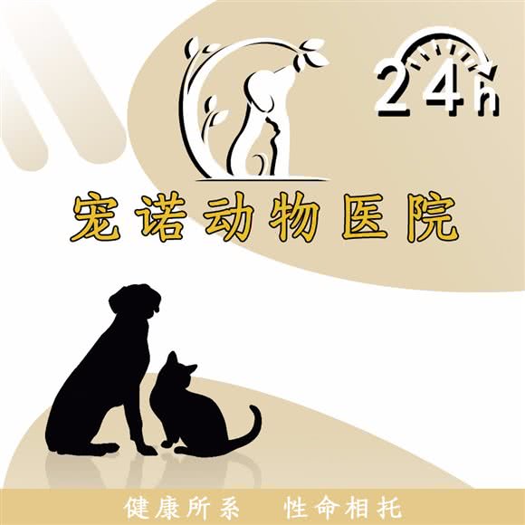 宠诺动物医院:海口市龙华区滨涯路附近
