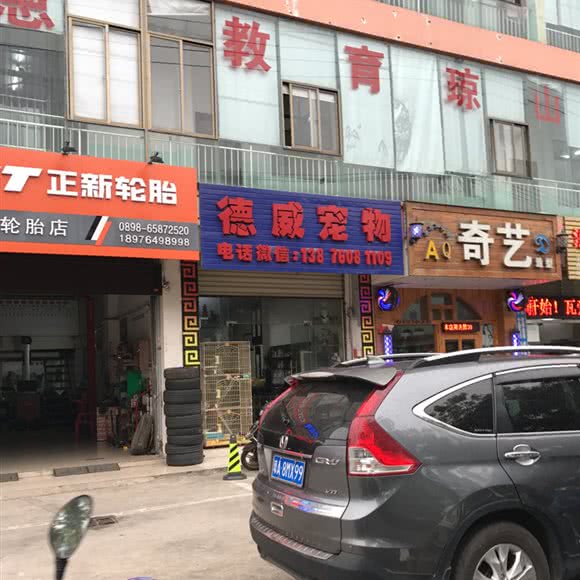 德威宠物:海口市琼山区高铁东站/凤翔路附近