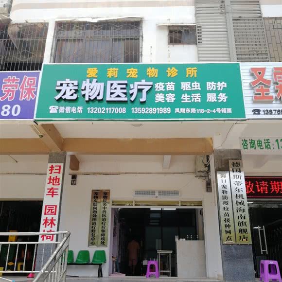 爱莉宠物诊所:海口市琼山区高铁东站/凤翔路附近