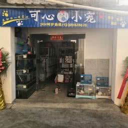 可心小宠:海口市琼山区高铁东站/龙昆南附近