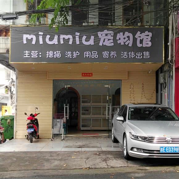 Miumiu宠物馆:海口市琼山区高铁东站/龙昆南附近