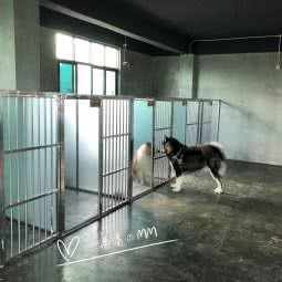 绿洲宠物寄养酒店:海口市美兰区东海岸/大学城附近
