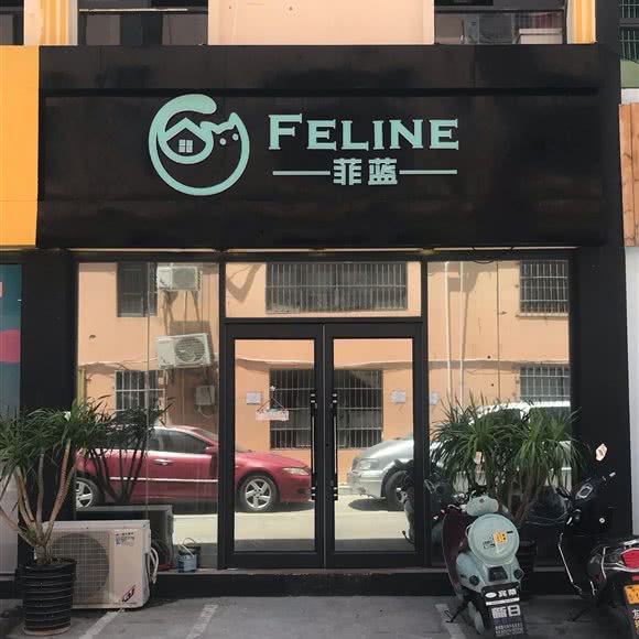 FELINE:三亚市吉阳区金鸡岭附近
