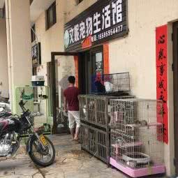 文妮宠物狗生活馆:三亚市吉阳区金鸡岭附近