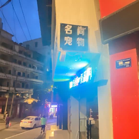 名尚名宠:重庆城区涪陵区敦仁街道附近