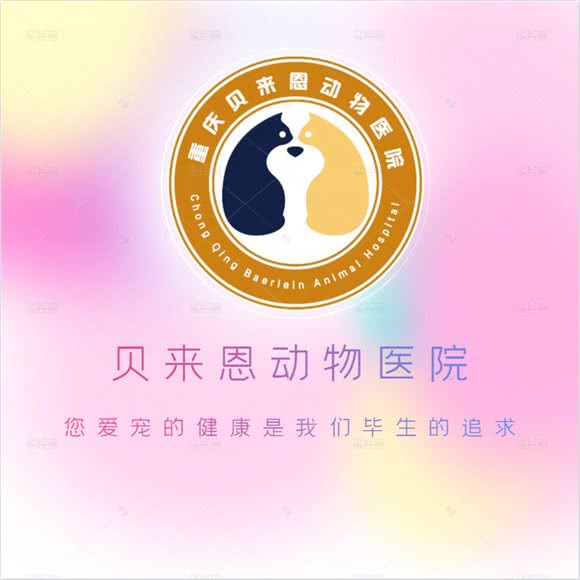 贝来恩动物医院:重庆城区涪陵区敦仁街道附近