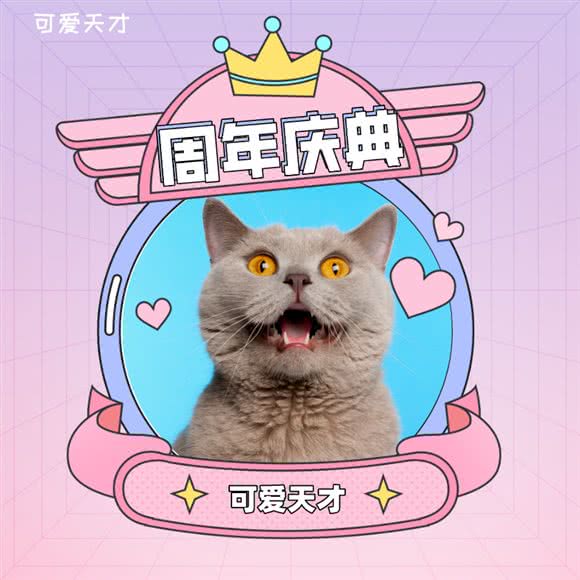 可爱天才(旗舰店):重庆城区渝中区大坪附近