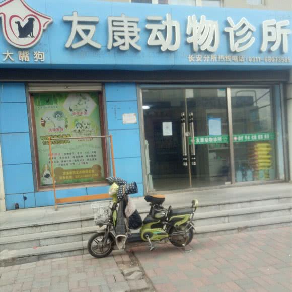 大嘴狗友康动物诊所(长安分所):石家庄市长安区中山东路附近