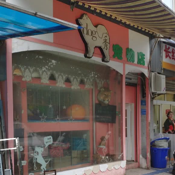 Dog秀宠物生活馆:重庆城区渝中区大坪附近
