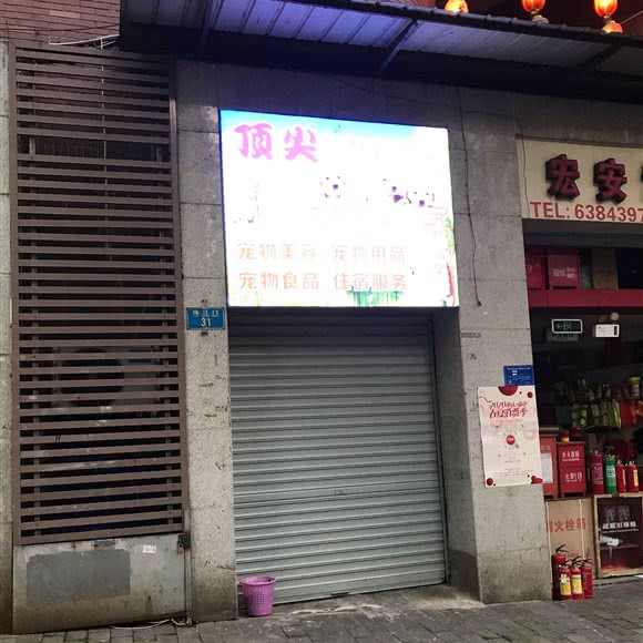 顶尖宠物店:重庆城区渝中区解放碑附近
