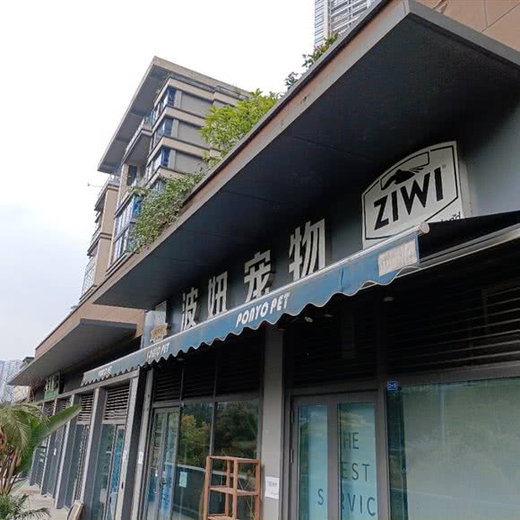 波妞宠物:重庆城区渝中区化龙桥/重庆天地附近