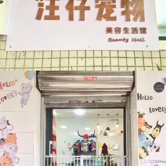 汪仔宠物美容生活馆:重庆城区渝中区大礼堂附近