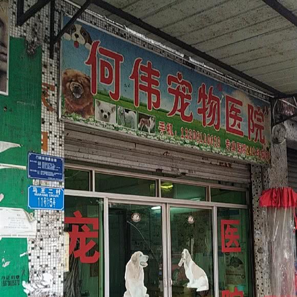 何伟宠物医院:重庆城区大渡口区马王场附近