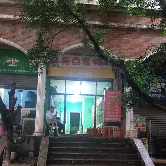 亮点宠物:重庆城区大渡口区香港城附近