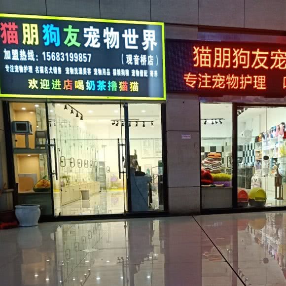 猫朋狗友宠物世界(观音桥店):重庆城区江北区观音桥附近