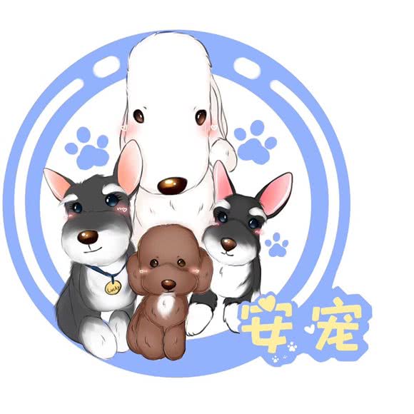 安宠:重庆城区江北区观音桥附近