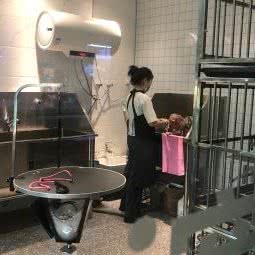 宠爱宠物生活馆:重庆城区江北区观音桥附近
