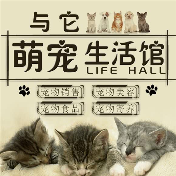与TA萌宠生活馆:石家庄市长安区谈固附近