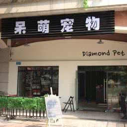 呆萌宠物:重庆城区江北区大石坝附近