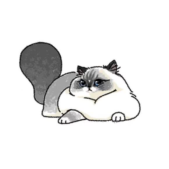 正义粘萌·猫公馆:重庆城区江北区大石坝附近