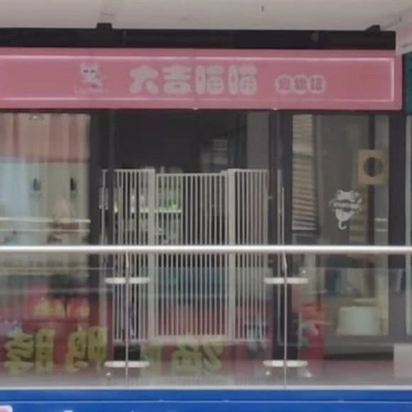 大吉喵喵宠物馆(红原路店):重庆城区江北区大石坝附近